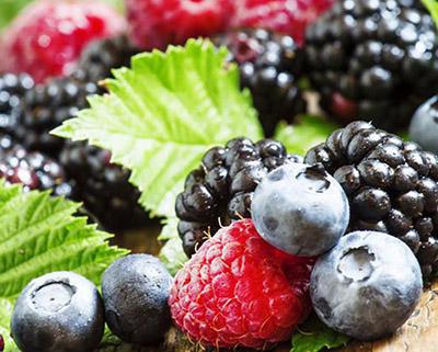 藍莓、樹莓、草莓飲料生產線